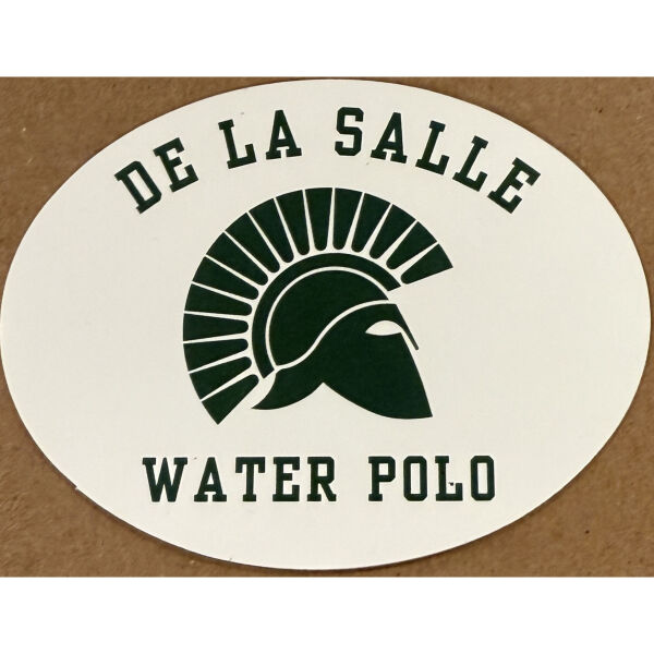 DLS WATER POLO MAGNET Thumbnail